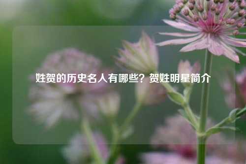 姓贺的历史名人有哪些？贺姓明星简介