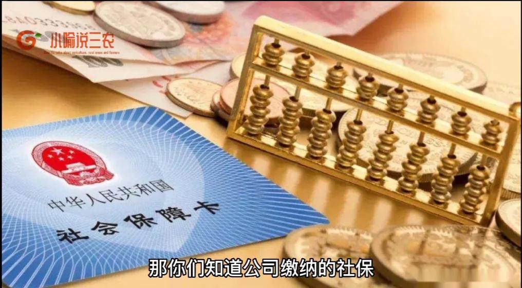 社保个人交好还是公司代缴好（个人缴纳社保和单位缴纳社保有什么区别）