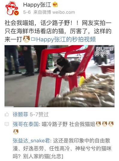 社会姐32号视频贴吧_社会你球姐_云南社会姐被人肉