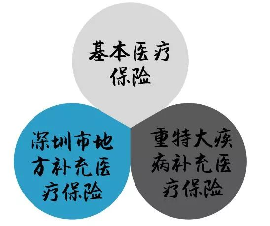 社会保险实际缴费年限_社会保险的年限_社会保险年限