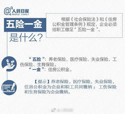 社会保险年限_社会保险的缴费年度_社会保险实际缴费年限