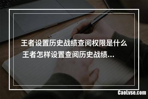 王者设置历史战绩查阅权限是什么 王者怎样设置查阅历史战绩权限