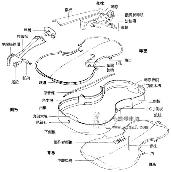 提琴的历史_小提琴的历史_提琴的故事