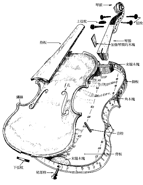 提琴的故事_小提琴的历史_提琴的历史