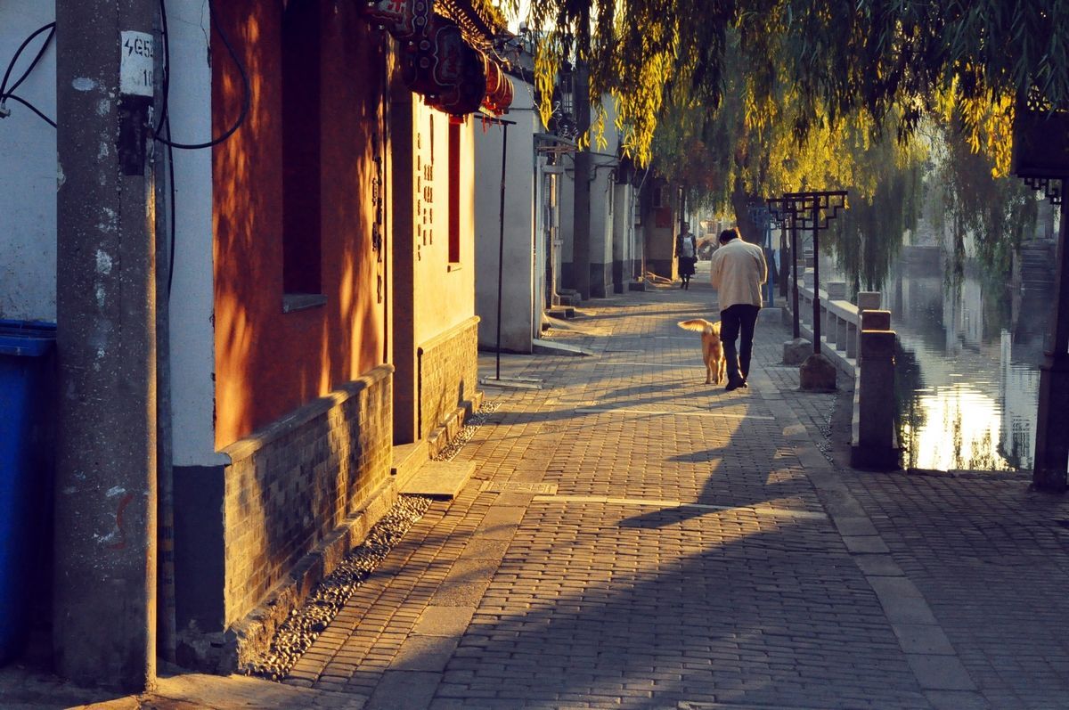 酶科学史流程图_酶的研究历史_酶工程历史