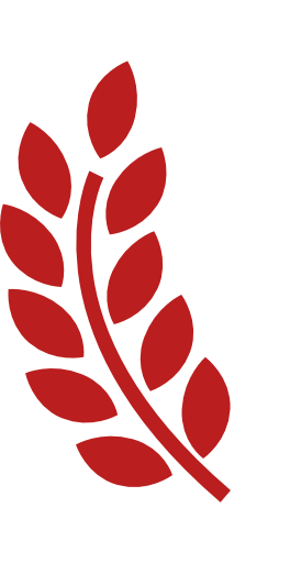 哲学文史专业包括哪些专业_文史哲学包括哪些专业_哲学文学历史学大类包含什么