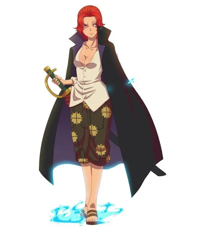 海贼王人物_海贼王人物介绍视频_海贼王人物志