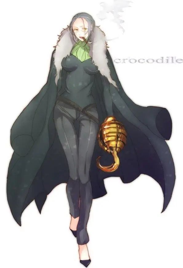 海贼王人物志_海贼王人物介绍视频_海贼王人物