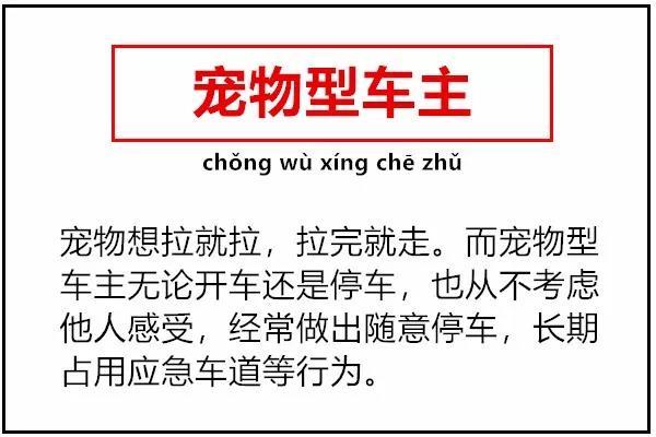 社会现象评论范文800字_现象社会评论怎么写_对社会现象评论