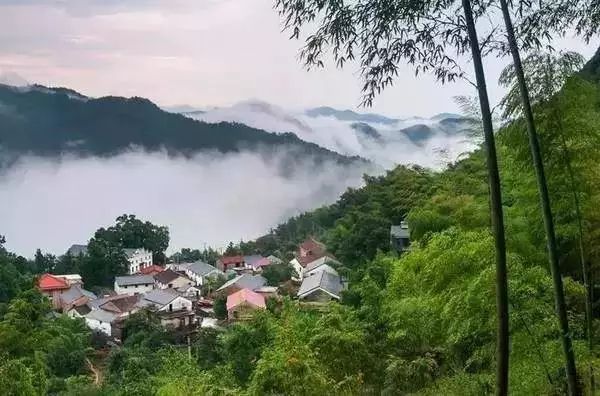 文史书店_书店历史_书店文史哲类图书下架