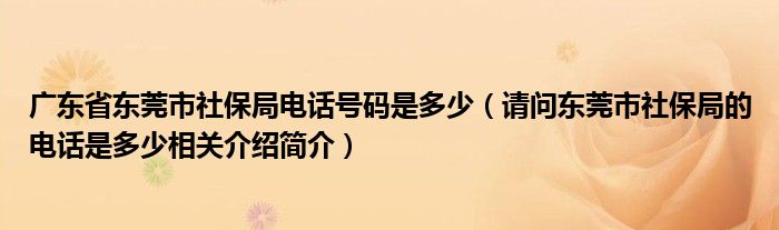 广东东莞社会保险查询系统_东莞社保信息查询_东莞社会保险查询