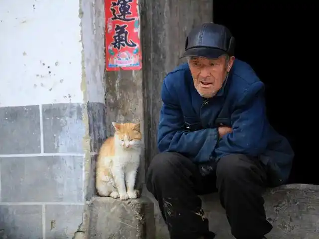 文章图片3