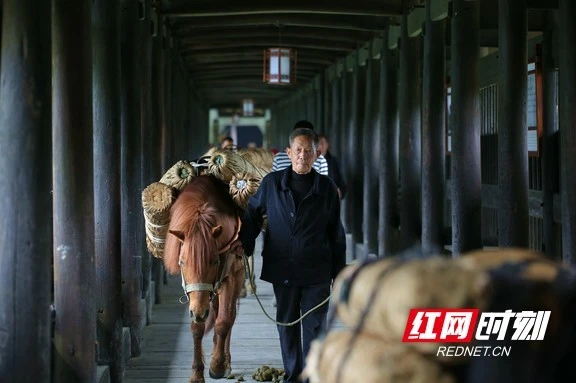茶叶的历史起源_茶起源哪里_茶起源地