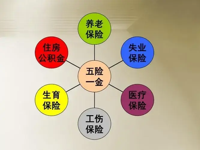 保险社会包括医保吗_保险社会包括哪些险种_社会保险包括哪些