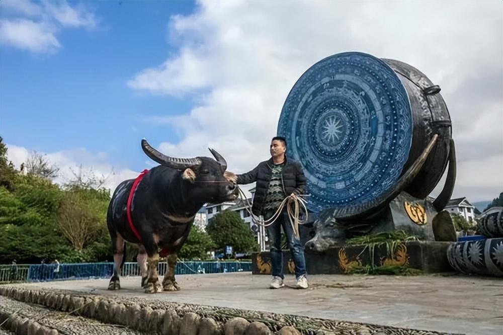 黔东南州苗族文化_黔东南苗族历史文化研究_黔东南苗族的历史