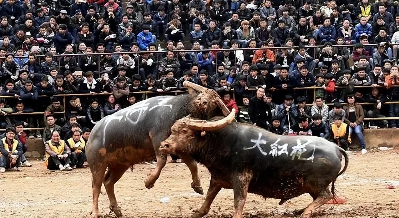 黔东南苗族历史文化研究_黔东南州苗族文化_黔东南苗族的历史