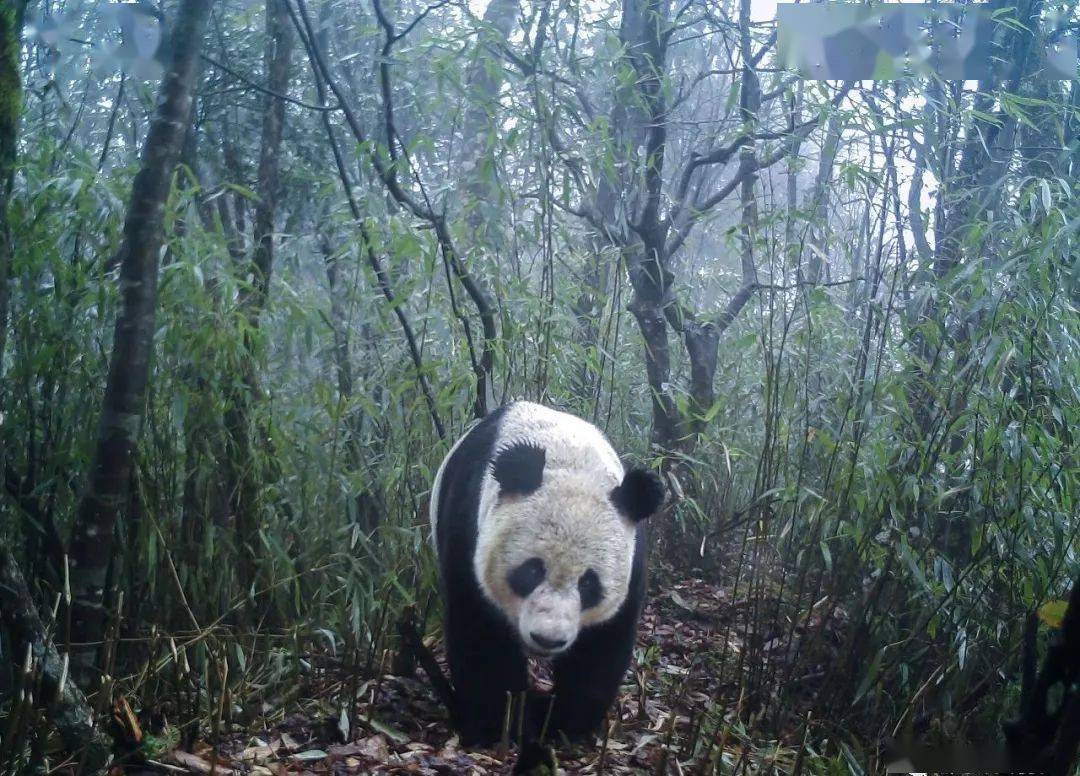 记载历史的书籍有哪些_记载历史的人叫什么_历史记载