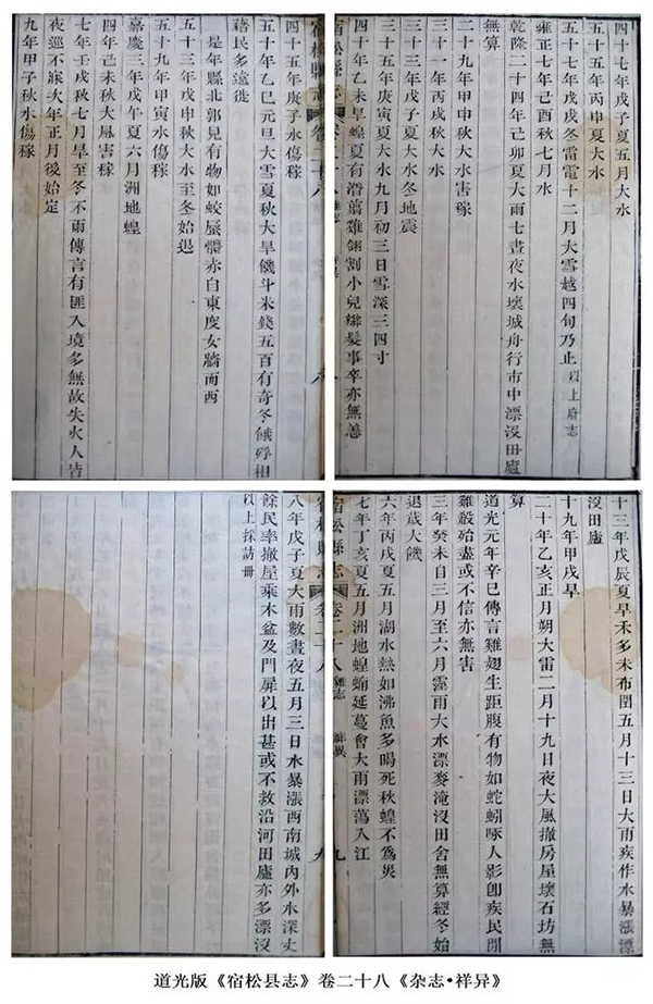 湖北文史馆_湖北文史_湖北文史资料