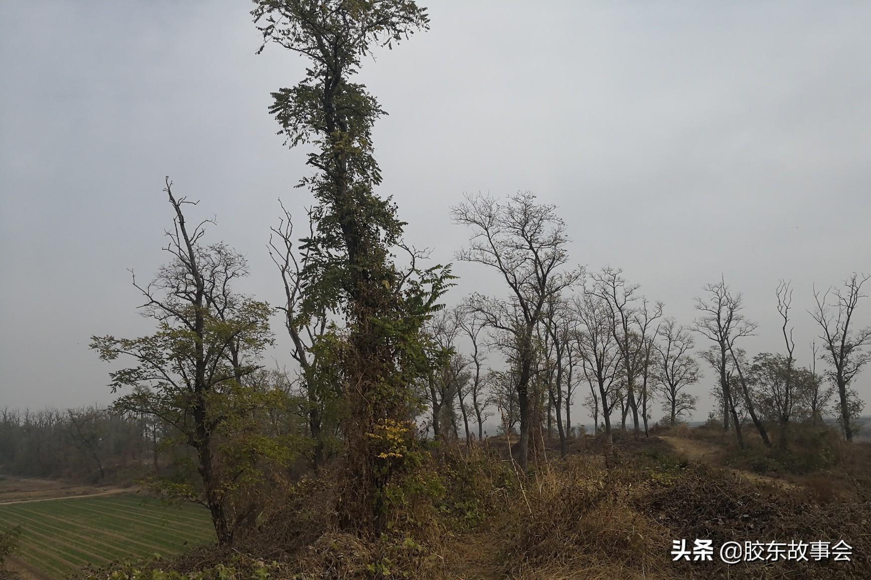 即墨历史人物_即墨名人_即墨历史名人