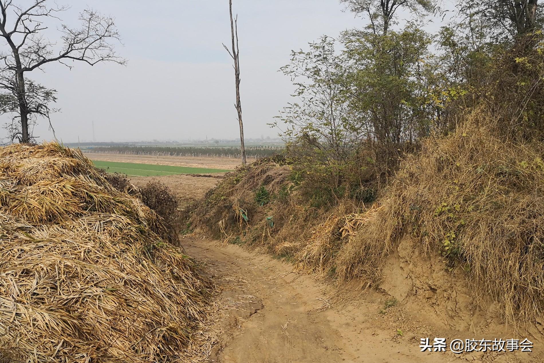 即墨历史人物_即墨历史名人_即墨名人