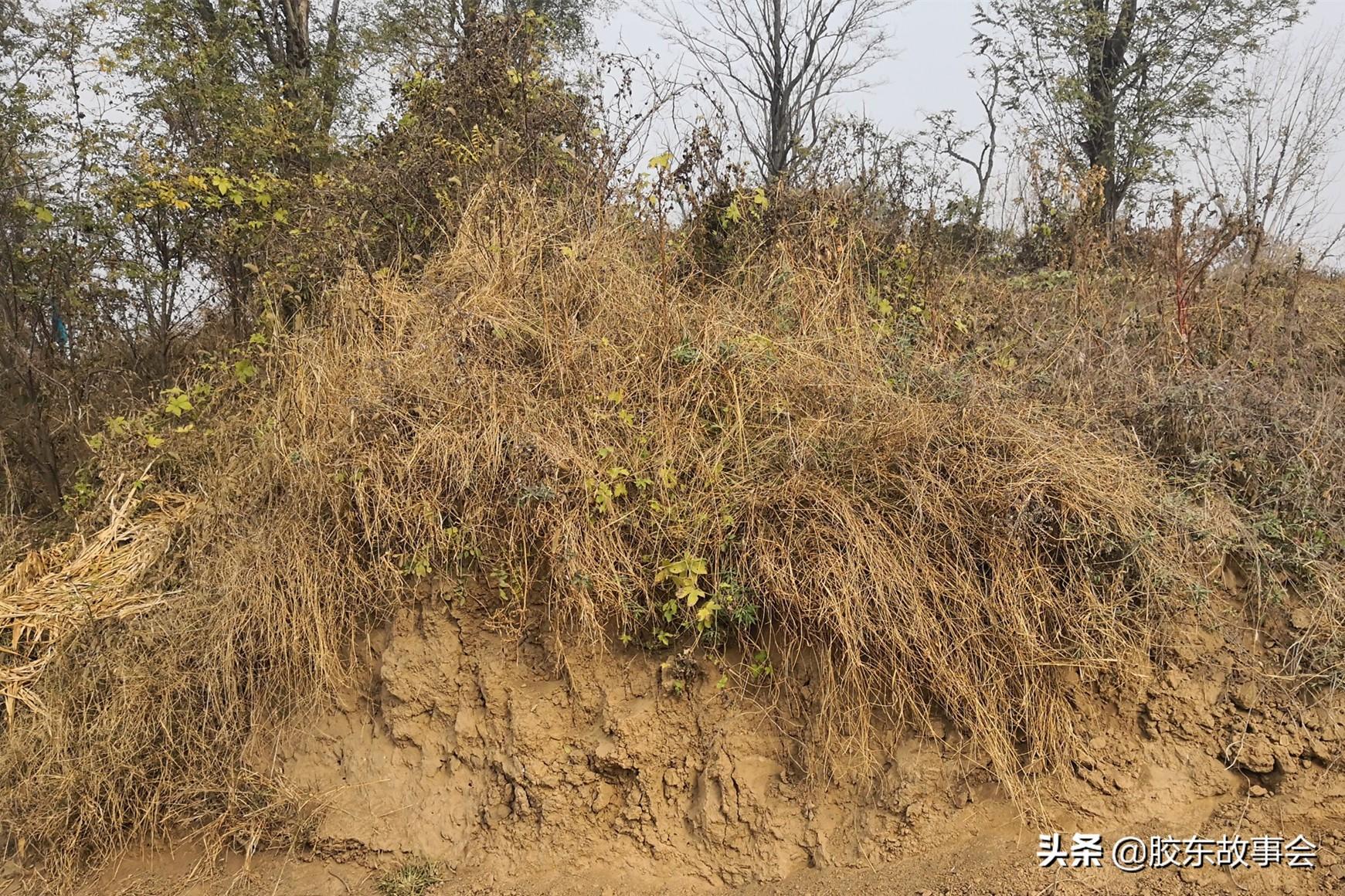 即墨历史名人_即墨名人_即墨历史人物