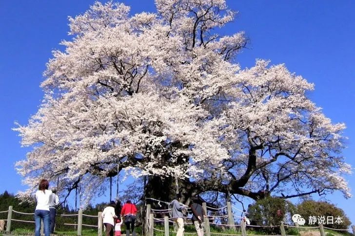 日本社会_日本社会现状_日本社会福利