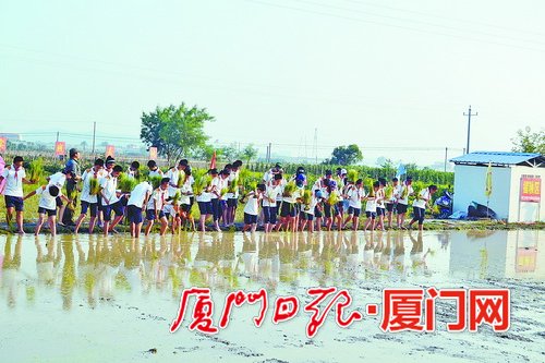 社会实践基地_基地社会实践心得_基地实践社会实践内容