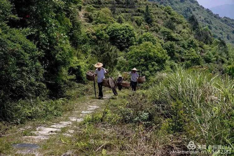 德化县历史名人录_德化历史名人_德化的名人