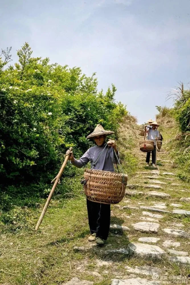 德化历史名人_德化的名人_德化县历史名人录