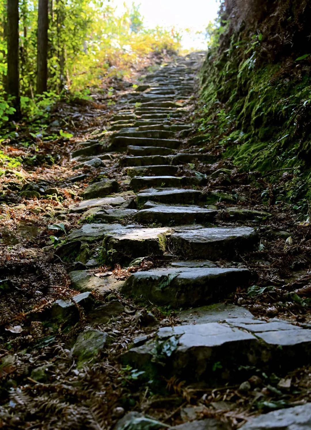 锦屏县历史名人_锦屏历史文化_锦屏县名字的来历