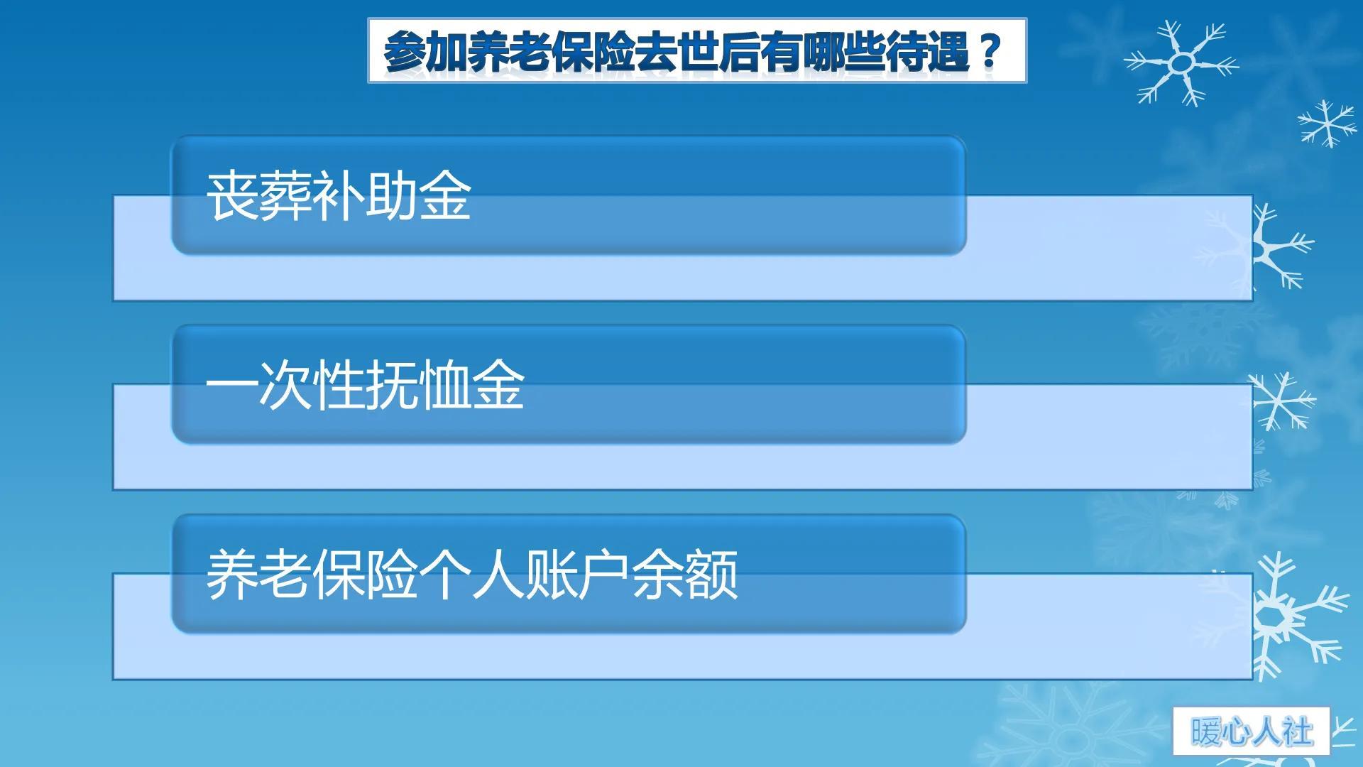 养老社会保险的基本原则包括_社会养老_养老社会保险