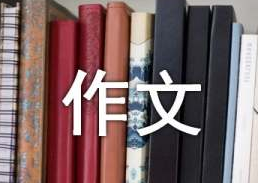 关于探索的作文600字