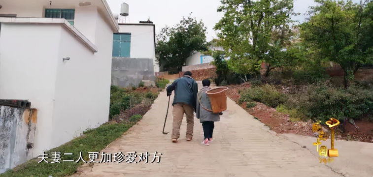 感动中国人物_人物感动中国真实事迹150字_人物感动中国之悬崖小学教师