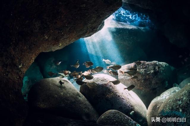 地球海洋人类探索了多少_人类探索海洋的历史_探索海洋的人