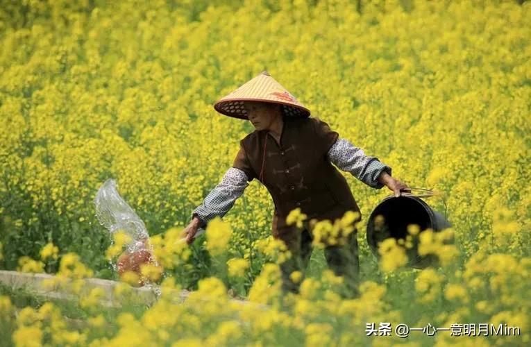 公德存在社会方面问题有哪些_公德存在社会方面问题的例子_社会公德方面存在的问题