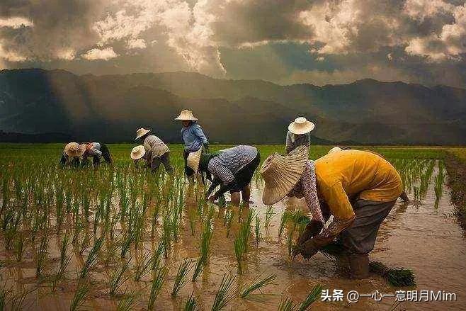 公德存在社会方面问题的例子_社会公德方面存在的问题_公德存在社会方面问题有哪些