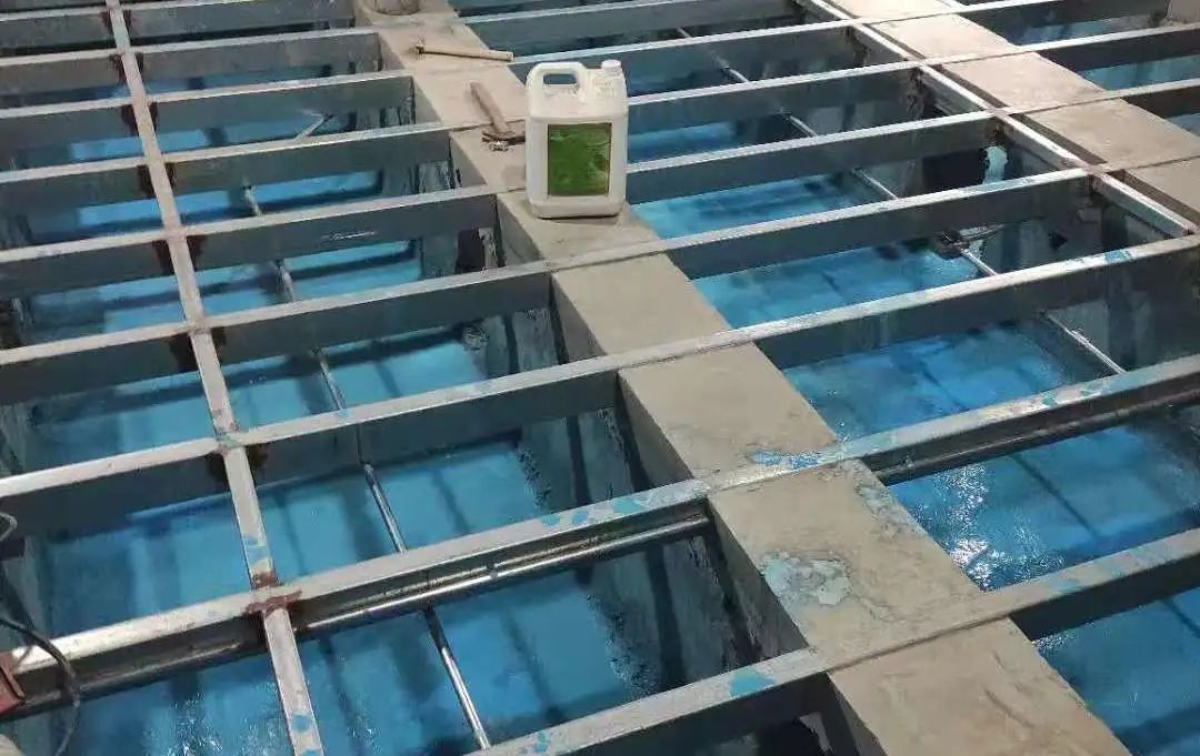 第一届上海文史馆馆员名单_上海文史馆是什么级别_上海市文史馆