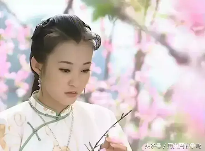 历史上的董鄂妃_董鄂妃是_董鄂妃有孩子