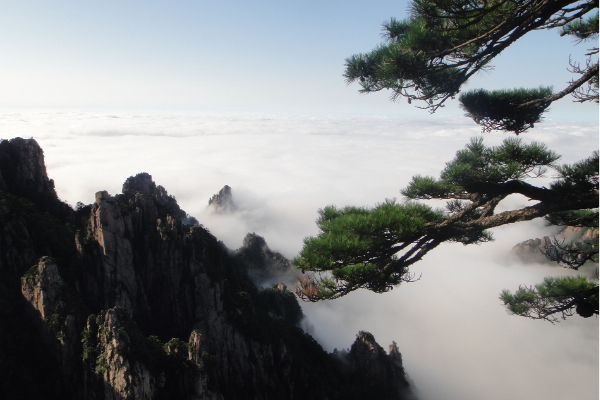 黄山在哪个省份