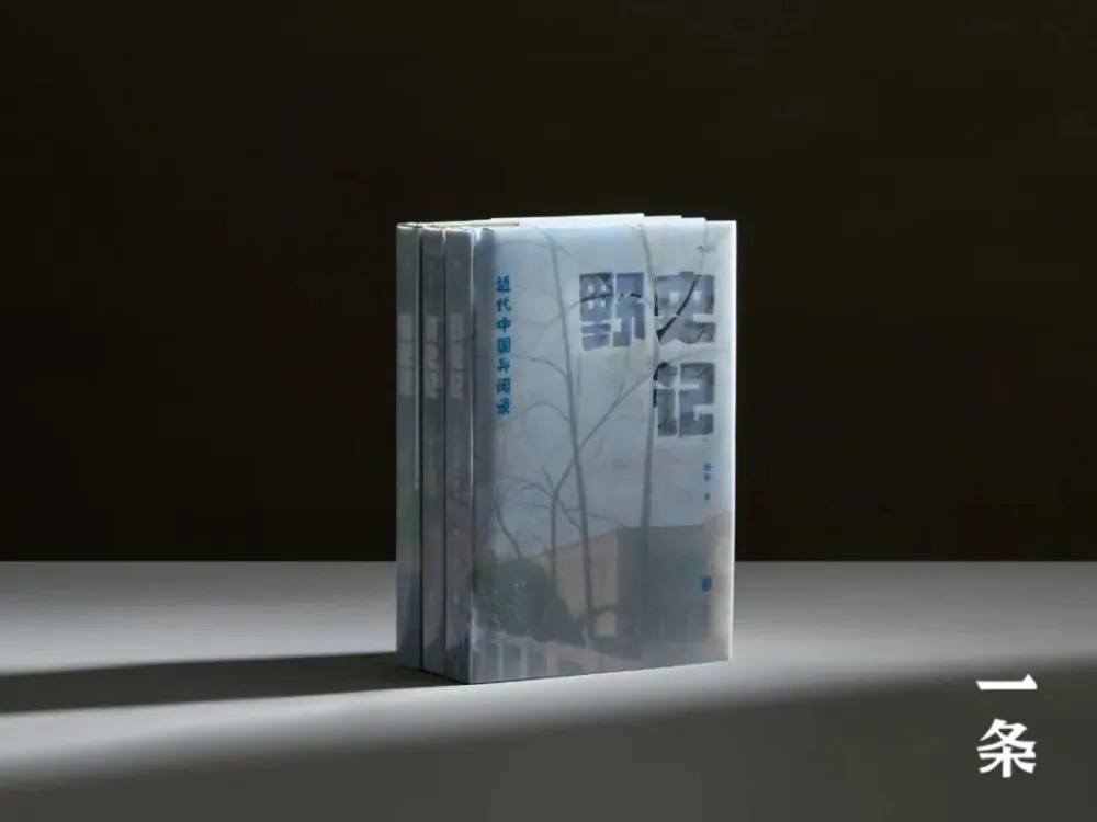 中国野史讲的什么_中国野史_中国野史集成pdf