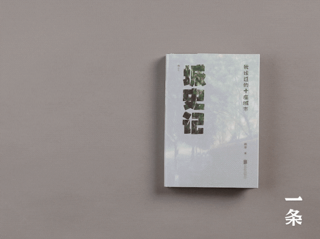 中国野史讲的什么_中国野史_中国野史集成pdf