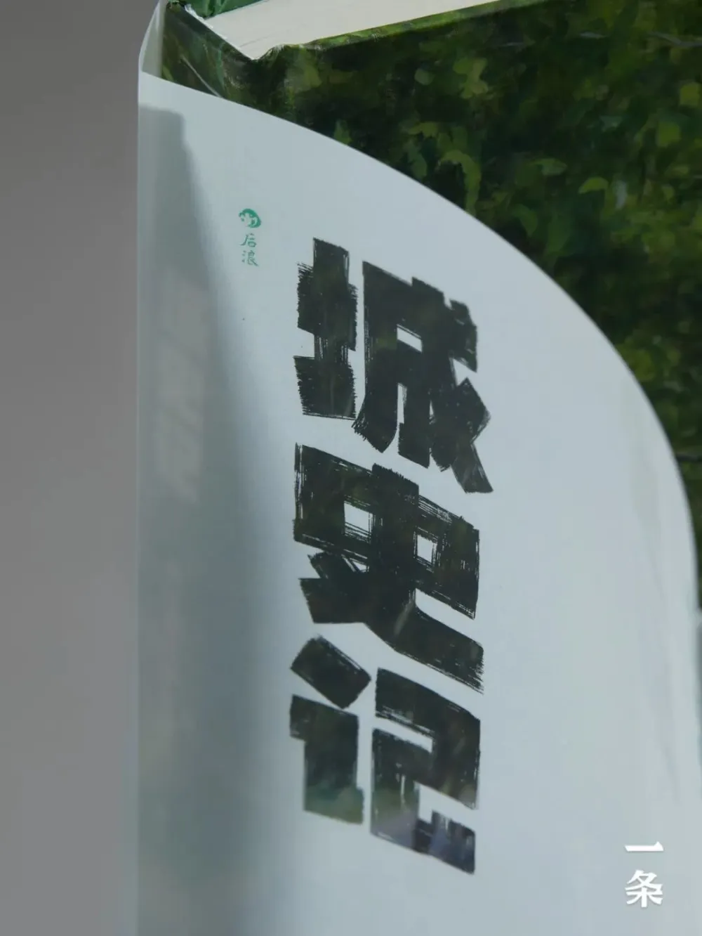 中国野史集成pdf_中国野史_中国野史讲的什么