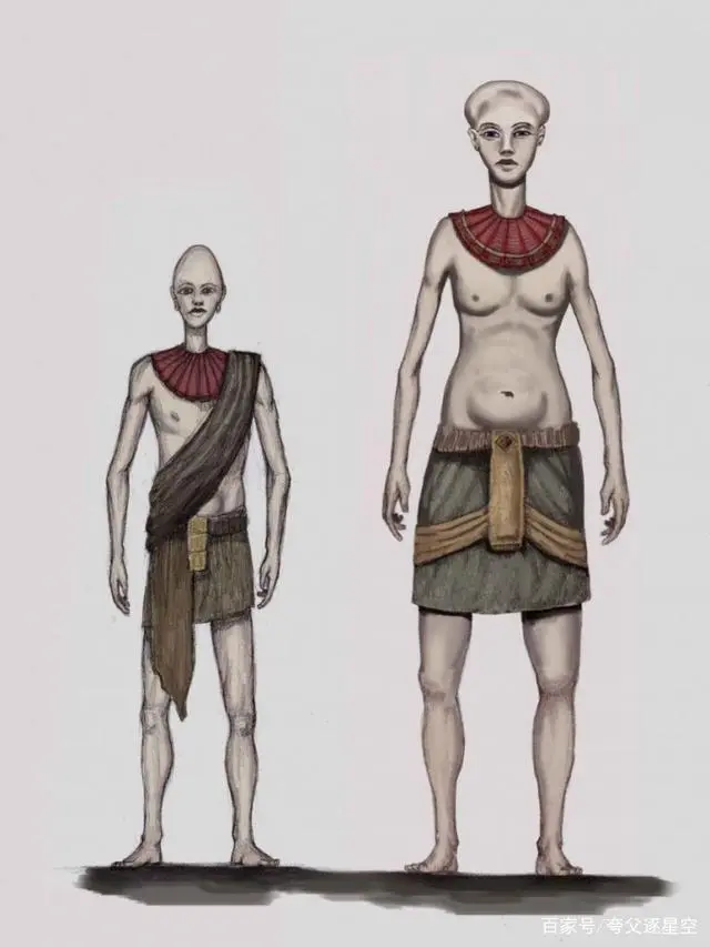 南极探索人类历史视频_人类探索南极的历史_人类南极探险