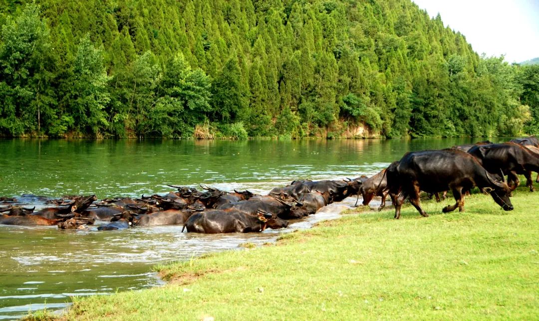 剑河县历史沿革_剑河县历史文化_剑河县历史名人