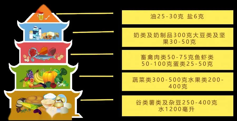 中国学生营养与健康示范学校_中国学生营养日_中国学生营养与健康促进网站