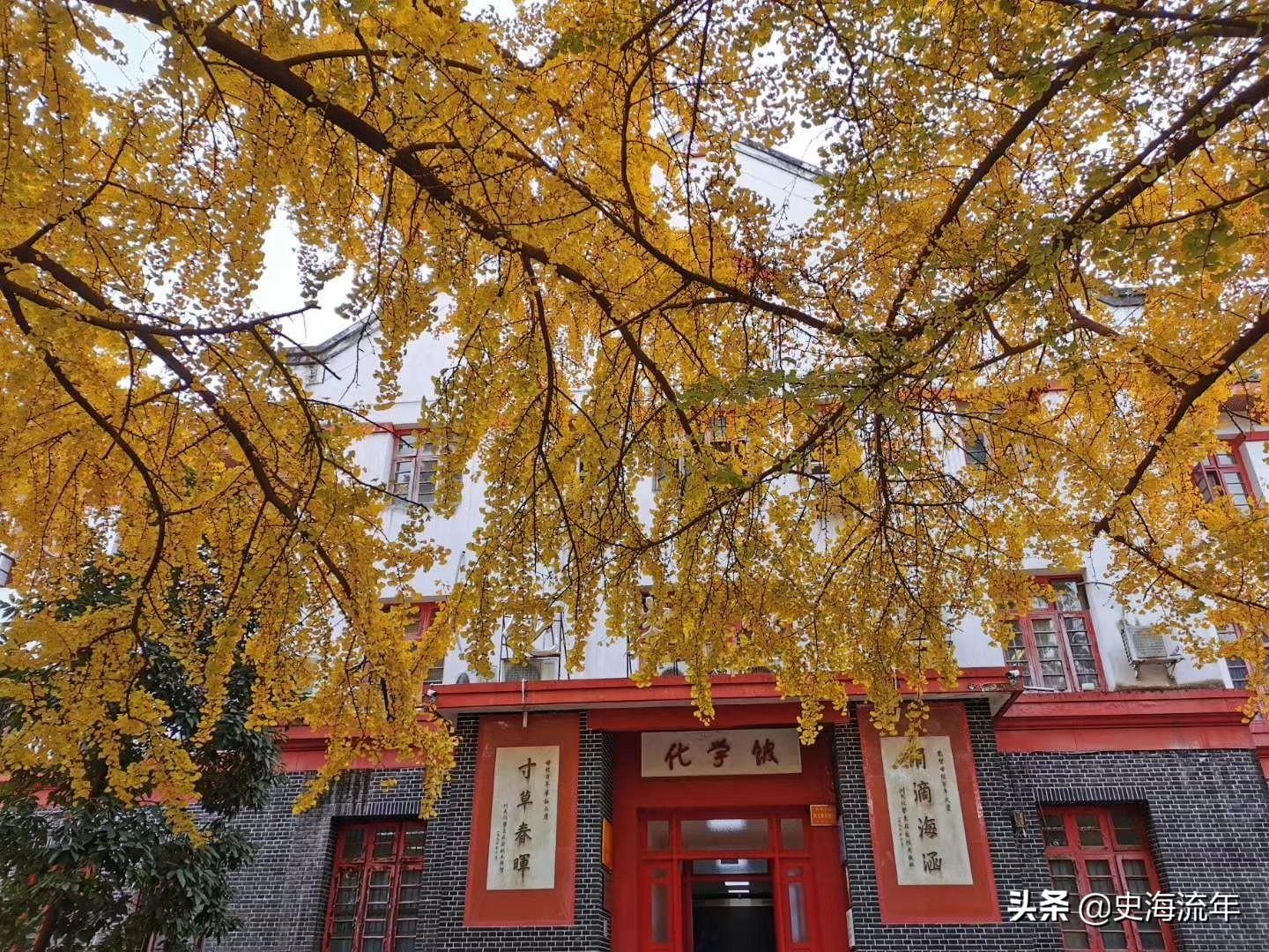 四川大学历史系官网_四川大学历史_四川大学历史学院