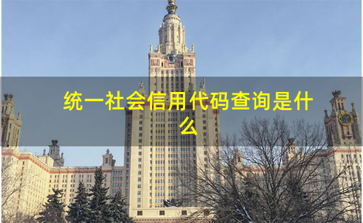 有效的统一社会信用代码大全_统一社会信用代码查询_查统一社会信用代码号