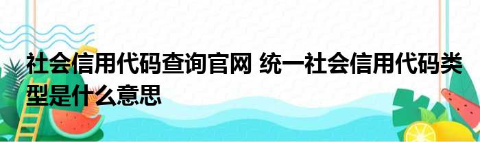 社会信用代码查询官网 统一社会信用代码类型是什么意思