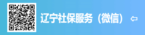 辽宁社保查询·社保服务（微信）