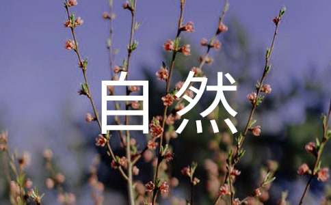 探索自然的奥秘作文（精选3篇）